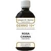 GIORGINI Gemmo 10+ rosa canina liquido analcolico 500 ml - GIORGINI - 924298060