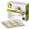 CAMON Immun 60 compresse - CAMON - 925464101