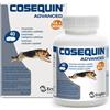 Cosequin advanced cane 40cpr - - 951090303