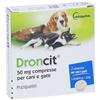 Droncit 2 Compresse 50 mg Cani Gatti - DRONCIT - 100388014