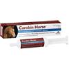 N.B.F. LANES Carobin horse pasta appetibile siringa 100 g - N.B.F. LANES - 935767398
