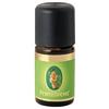 Anice olio essenziale bio 5 ml - - 913645533