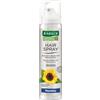 Rausch hairspray flexible aerosol - - 971668140