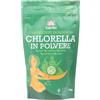 Chlorella polvere bio 125 g iswari - - 973150271