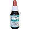 K2 20 ml - - 987921778