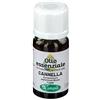 Cannella olio essenziale 10 ml - - 976337042