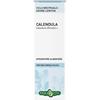 ERBA VITA Calendula fiori soluzione idroalcolica 50 ml - ERBA VITA - 902697388