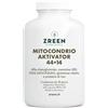 Zreen mitocondrio aktivator 44+14 240 capsule - ZREEN - 950277208