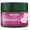 WELEDA Crema notte levigante rosa mosqueta & te' bianco 40 ml - WELEDA - 950908463