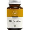 CENTO FIORI Pea phyto plus 60 capsule vegetali - CENTO FIORI - 951215401