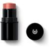 Dr hauschka liptocheek 01 6,1 g - DR HAUSCHKA - 987772961