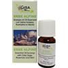 GISA Sinergia erbe alpine 10 ml - GISA - 981958919
