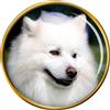 Canadese Eskimo Cane Distintivo di Lapel Pin