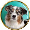 Australiano Shepherd Cane Distintivo di Lapel Pin