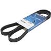 DAYCO 5PK1397 Cinghia Poly-V per ASTRA J per Schrägheck (R56) 1397,0mm | Compatibile con: CHEVROLET CRUZE, CRUZE Schrägheck, CRUZE Station Wagon, ORLANDO, MINI MINI, Cabriolet, CLUBMAN, CLUBVAN