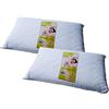 Coppia di guanciali in memory foam ed anti acaro