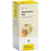 GHEOS Hericium up 90 capsule - GHEOS - 970418859