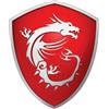 MSI B550M Pro-VDH WiFi, AMD B550 motherboard - Socket AM4