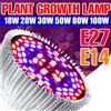 CanLing E27 LED Plant Grow Light spettro completo Phytolamp E14 Indoor Flower Seedling coltivazione idroponica ortaggi Growbox Fluorolamp