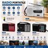 NONE Radio portatile AM FM SW multibanda con lettore USB e MicroSD, Bluetooth, batteria ricaricabile, altoparlante e funzione radio di emergenza.