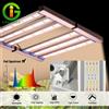 GRAXIDEA Lampada LED per Coltivazione Pieghevole Dimmerabile 200W 240W 320W 480W LM281B a Spettro Completo per Growbox, Idroponica, Serre Interne, Verdure e Fiori