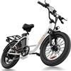 URLIFE E20, bicicletta elettrica con ruote da 20 pollici e pneumatici da 3,0 pollici, motore da 250 W, batteria rimovibile da 48 V e 13 Ah, ideale per gli spostamenti urbani e per gli adulti che si
