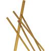 VERDELOOK Cannetta in bamboo naturale, altezza 180 cm, diametro 12/14 mm, sostegno piante giardino