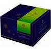 Panettone Smeraldo 500 gr. - Sal De Riso