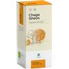 GHEOS Srl CHAGA GHEOS 60CPS 750MG