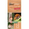Quelle Meyer Ve Heimische Landschnecken im Vergleich (Quelle & Meyer (Tascabile)