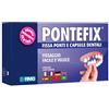 FIMO Pontefix - Set Fissaggio per Ponti e Capsule Dentali | Soluzione Professionale - FIMO - 908858234