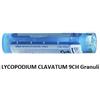Boiron Lycopodium Cl Boi 9ch 80gr