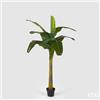 Enzo De Gasperi EDG Enzo De Gasperi Pianta Banano 9 foglie con Vaso H170 cm