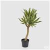 Enzo De Gasperi EDG Enzo De Gasperi Pianta Agave Chic Succulent con vaso H70 cm