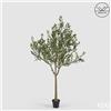 Enzo De Gasperi EDG Enzo De Gasperi Pianta Artificiale Olivo Anti-UV con Vaso H208 cm