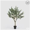Enzo De Gasperi EDG Enzo De Gasperi Pianta Artificiale Olivo Anti-UV con Vaso H157 cm