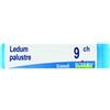 BOIRON Srl Boiron Ledum Palustre 9CH Globuli Tubo