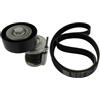SKF VKMA 31058 Kit Multi-V | Compatibile con: SEAT CORDOBA, IBIZA III, IBIZA IV, IBIZA IV SC, SKODA FABIA I, FABIA I Combi, FABIA I Praktik