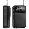 OEM Mini radio con porta USB-C, alimentato a batterie AAA, dotato di clip e cordino, ideale per il campeggio (colore: nero)