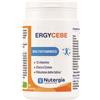 LABORATOIRE NUTERGIA ERGYCEBE 90 CAPSULE