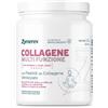 WILCO FARMA Srl SU ZYMEREX COLLAGENE MULTIFUNZIONE 252 G GUSTO PESCA CON EDULCORANTE SENZA GLUTINE SENZA LATTOSIO