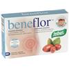 SANTIVERI BENEFLOR 40CPS