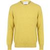 AMARANTO - Pullover - Verde lime