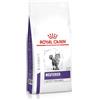 Royal Canin Expert Neutered Satiety Balance | 1,5 kg | Alimento completo per gatti adulti sterilizzati con tendenza all'aumento di peso | Fino a 7 anni
