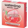 Waterdrop Cubetti per Bevande Gusto Pompelmo 25,2 g Cubo/i