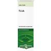 ERBA VITA Tuja olio essenziale 10 ml - ERBA VITA - 901374165