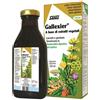 SALUS HAUS Gallexier 250 ml - SALUS HAUS - 901421646