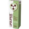 AMNOL Lipolipase cremagel 150 ml - AMNOL - 934417445