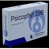 Psicophyt remedy 29b 4 tubi 1,2 g - - 903973802