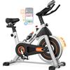 Selius Cyclette magnetica - Ergometro - Bicicletta da indoor - Bicicletta fitness - Bicicletta da allenamento